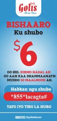 promo